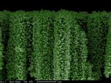 This is an electronic microscopic image of a nanoforest, or 3D branched nanowire array with green ti