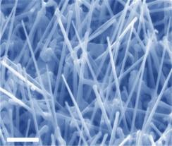 Copper-nickel nanowires