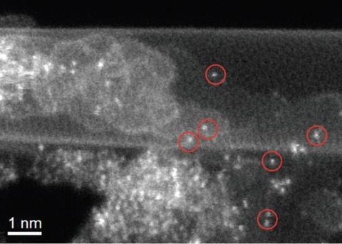 Microscopy