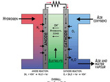 AFC fuel cells