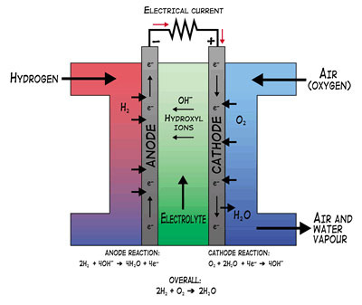 AFC fuel cells