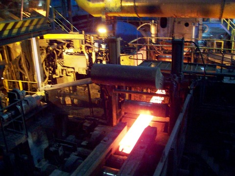 Tata scarfer plant