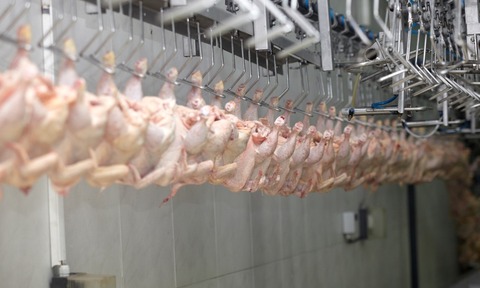 Poultry processing