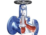 Sealed globe valve