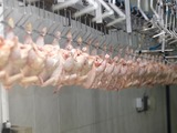 Poultry processing