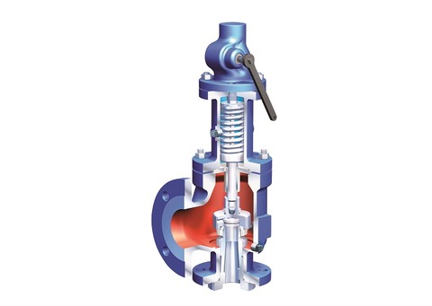 ARI safety valves