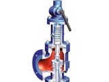 ARI safety valves