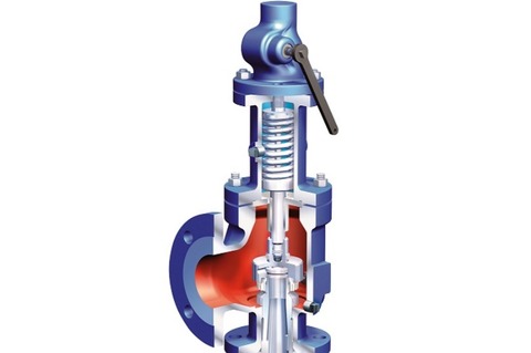 ARI safety valves