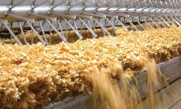 Cereal drying plant