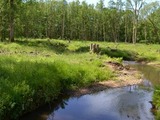 The Chase nature reserve